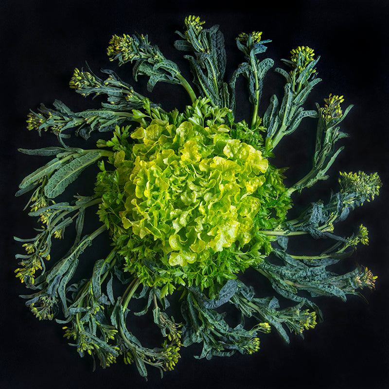 Mandala Fine Art Metal Print, Broccoli and Lettuce